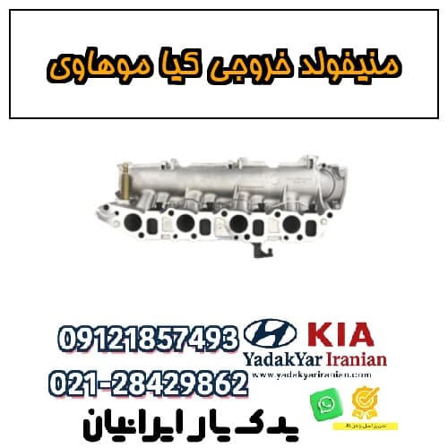 منیفولد خروجی کیا موهاوی