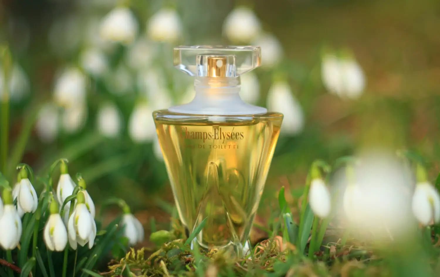 عطر ادکلن گرلن شانزه لیزه اصل | Guerlain Champs Elysees Eau de Parfum — تصویر ۳
