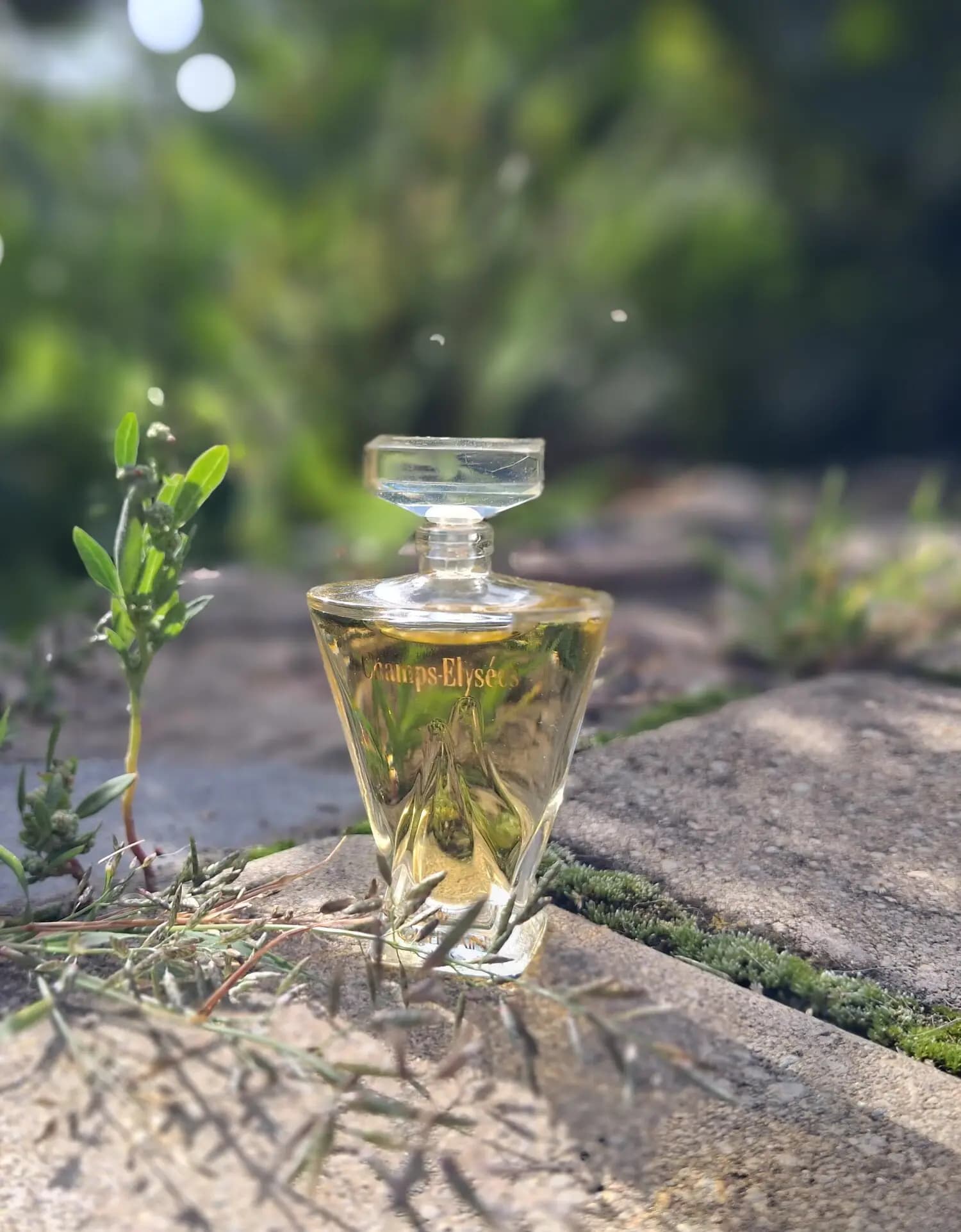 عطر ادکلن گرلن شانزه لیزه اصل | Guerlain Champs Elysees Eau de Parfum — تصویر ۲