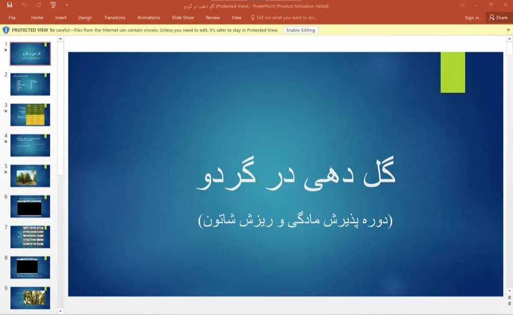 پاورپوینت گل دهی در گردو