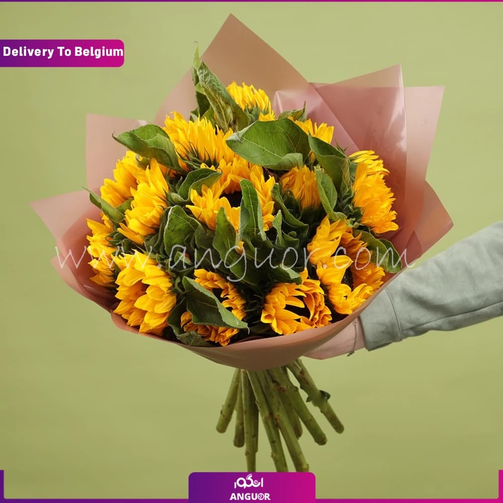 دسته گل آفتابگردان (تحویل در بلژیک)