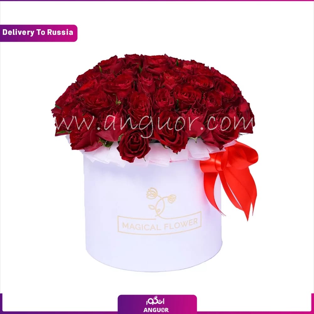 باکس گل رز قرمز 50 شاخه (تحویل در روسیه)