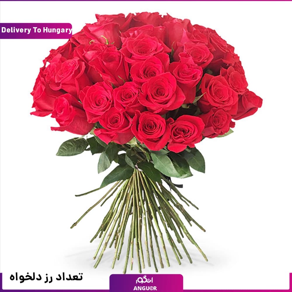 دسته گل رز با تعداد و رنگ دلخواه (تحویل در مجارستان)