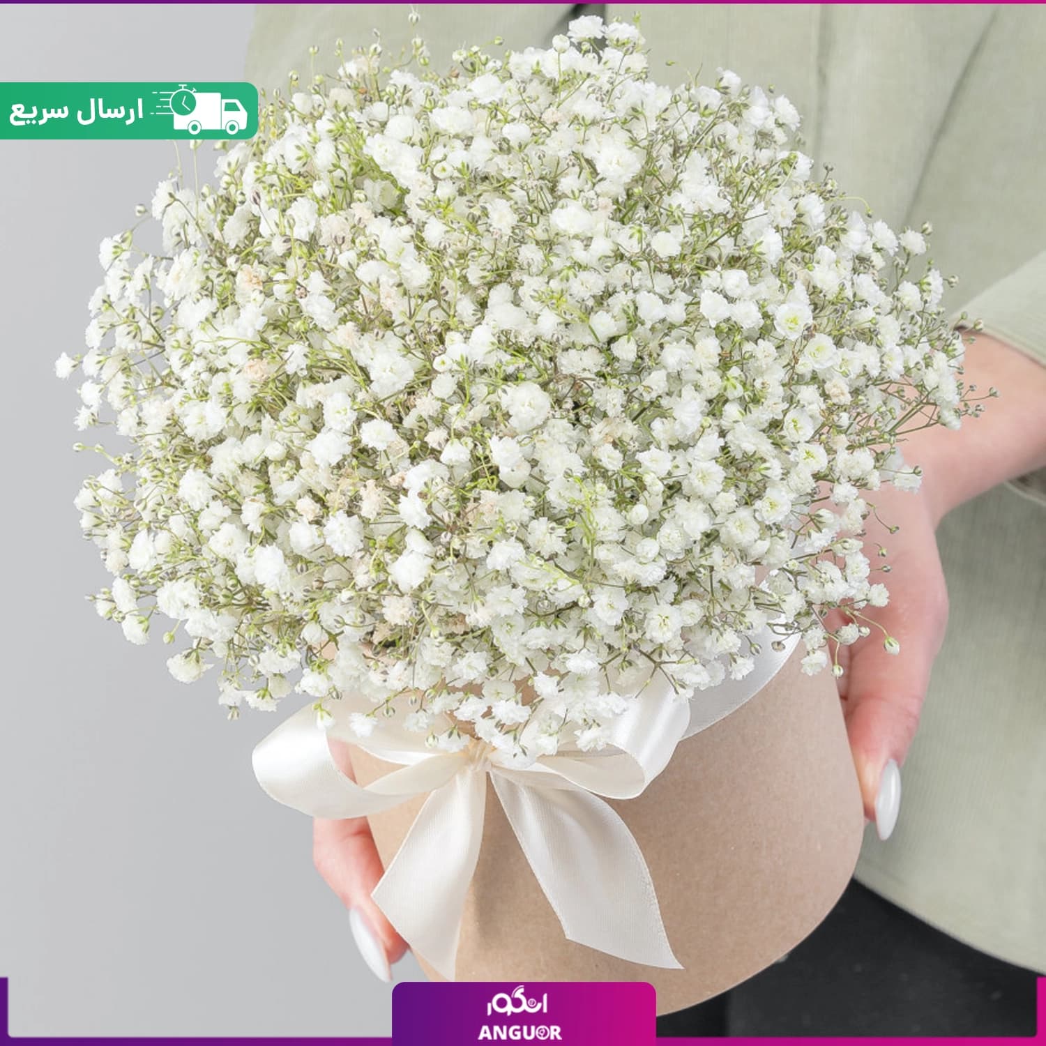 باکس گل ژیپسوفیلا سفید (گل عروس)