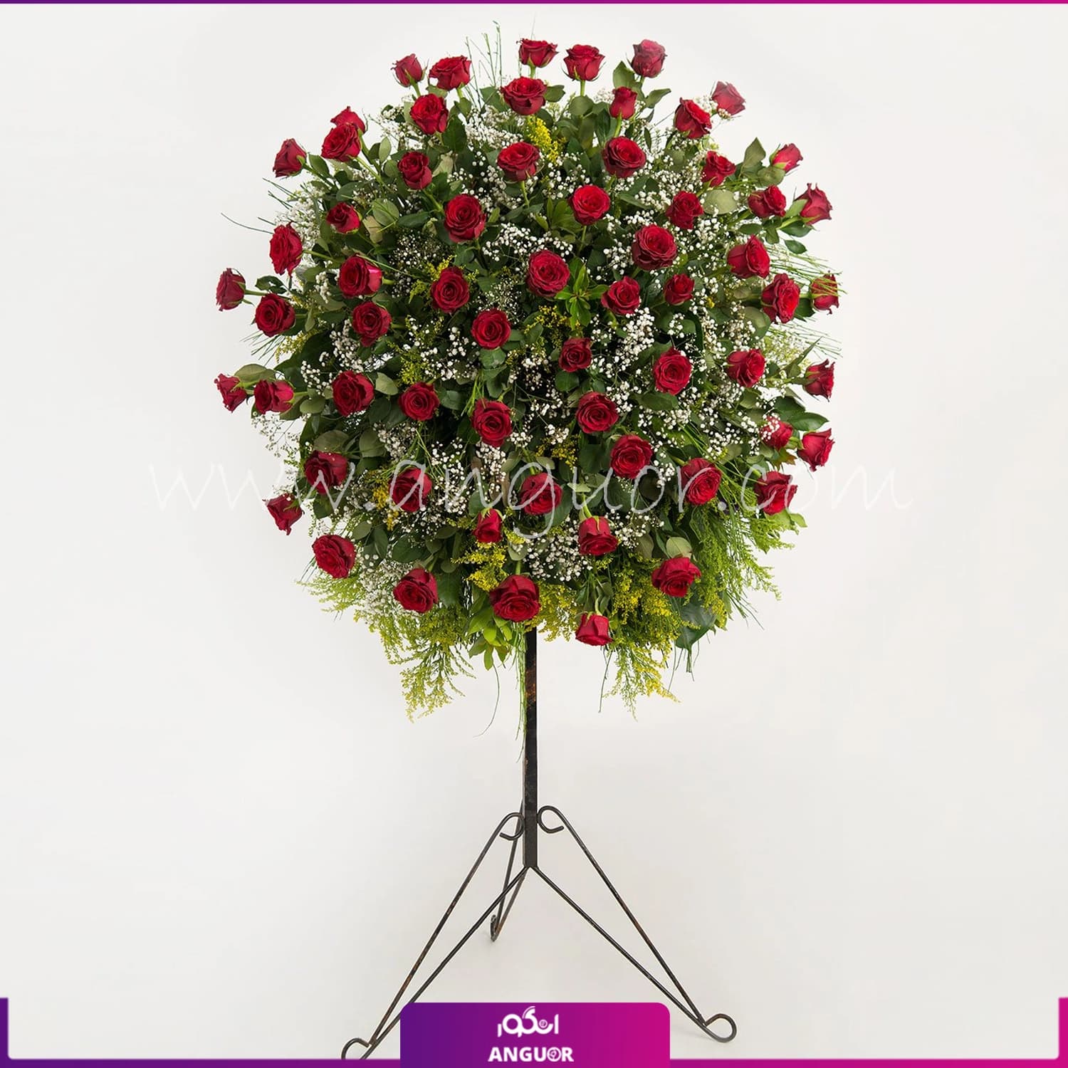 تاج گل رز هلندی