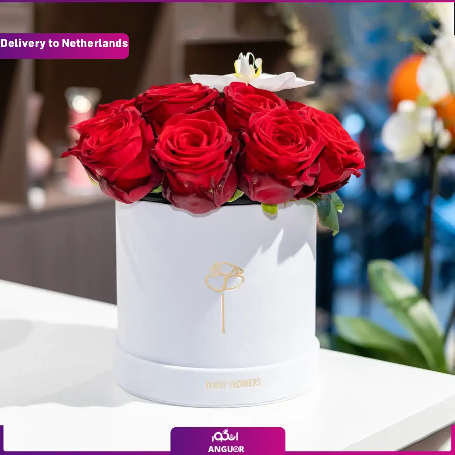 باکس گل رز قرمز (ارسال گل به هلند)