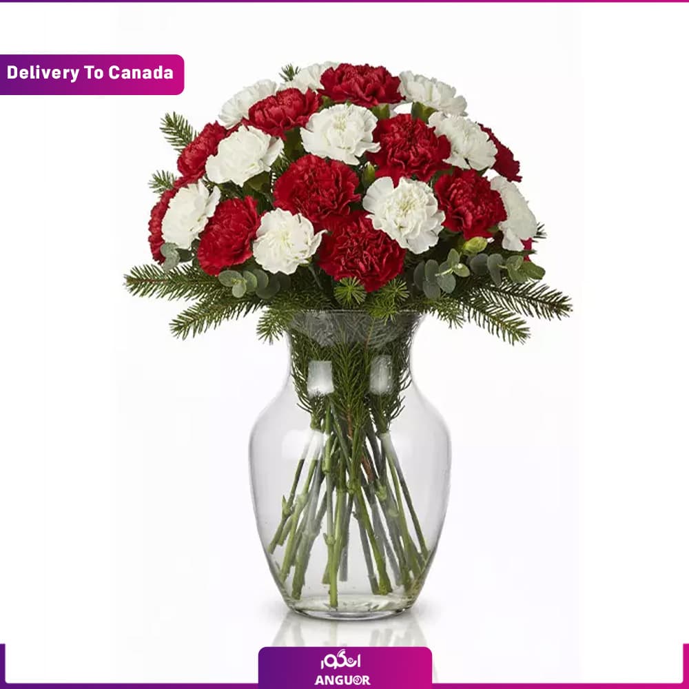 Winter Classic Bouquet (ارسال گل به کانادا )