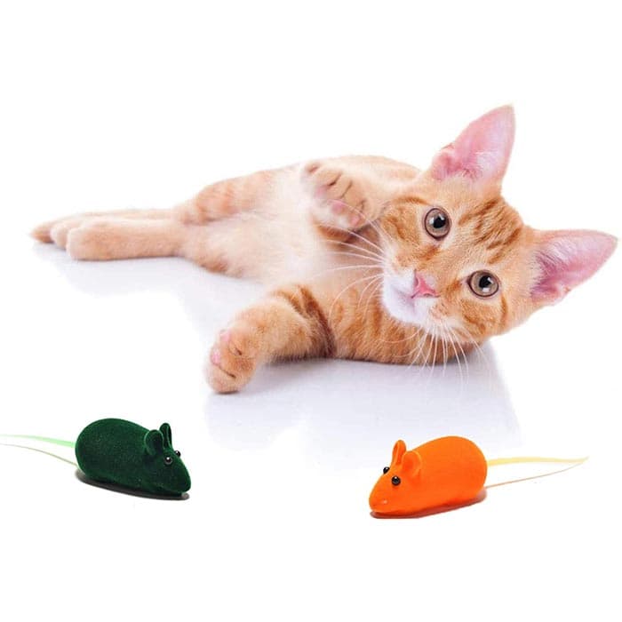 اسباب بازی گربه موش مخملی صدا دار پک 4 عددی — تصویر ۷