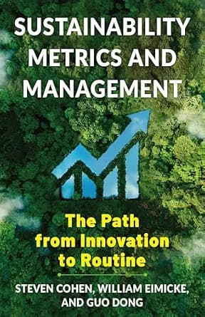 و دانلود نسخه کامل کتاب زبان اصلی Sustainability Metrics and Management: The Path from Innovation to Routine | دانلود کتاب خارجی