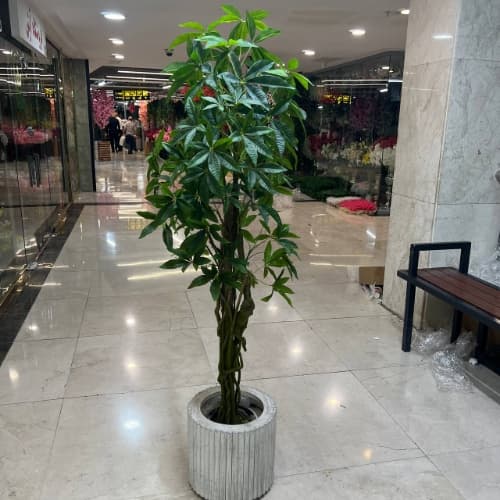 درختچه پاچیرا مصنوعی 180 سانتی تک تنه