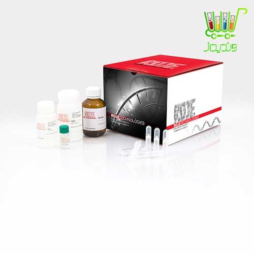 کیت استخراج RNA به روش ستونی RNall Kit