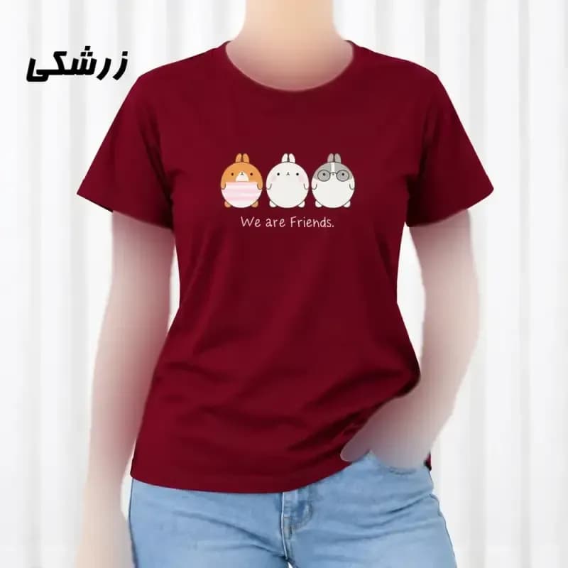 تیشرت زنانه نخ پنبه مدل Friends فری سایز مناسب تا سایز 44 — تصویر ۸