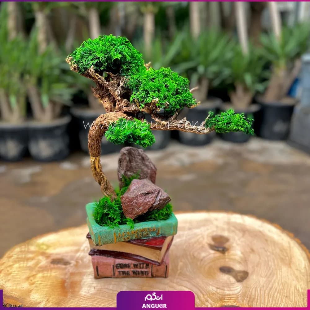 درخت جاودانگی (مدل کتابی سوپر)