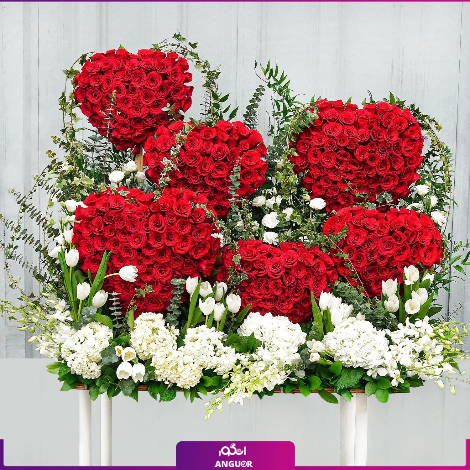 The Heart and Soul (طرح بین الملل )