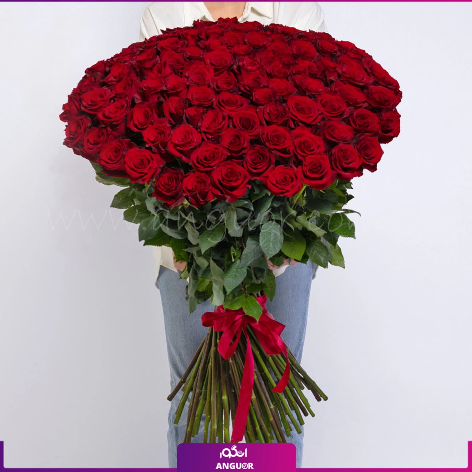 دسته گل رز قرمز هلندی سوپر ممتاز – 2۰۰ شاخه (ساقه 100سانتی)
