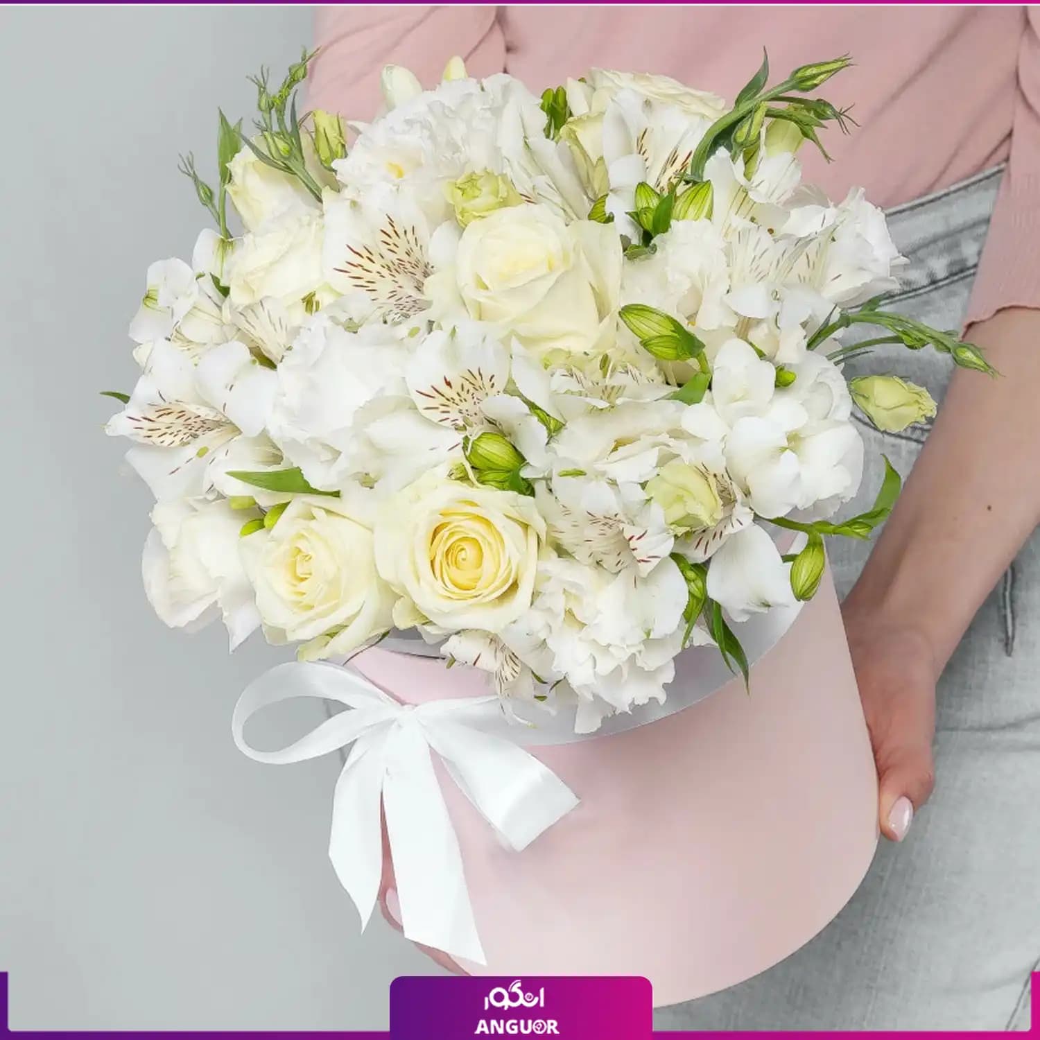 باکس گل رز، آلستر و لیسیانتوس
