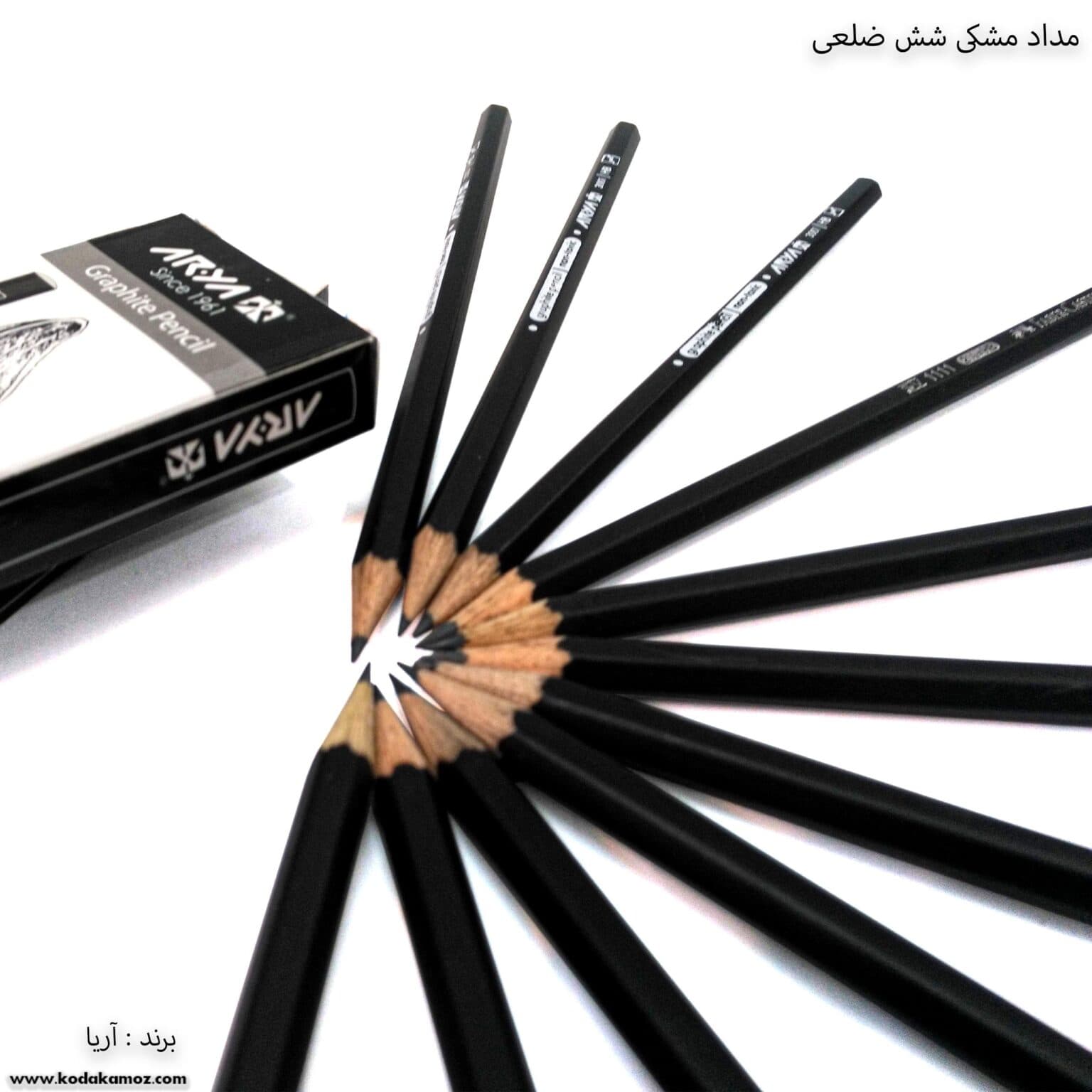 مدادمشکی آریا — تصویر ۲