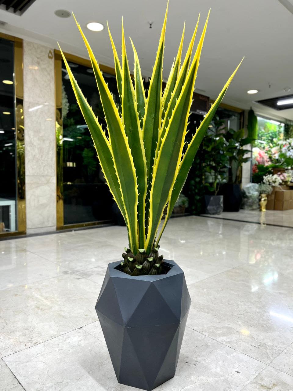 کاکتوس آگاو مصنوعی — تصویر ۶