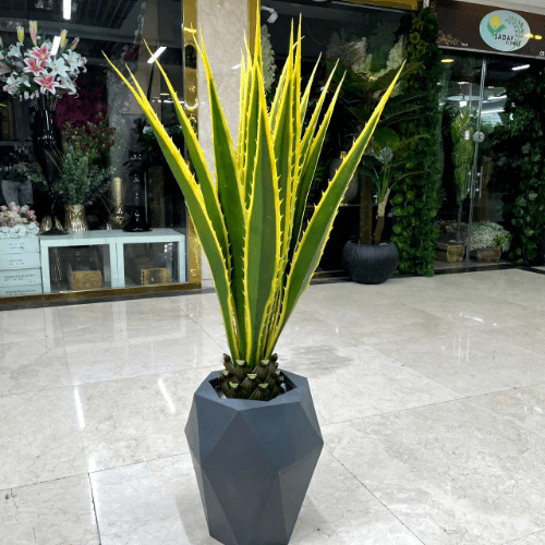 کاکتوس آگاو مصنوعی