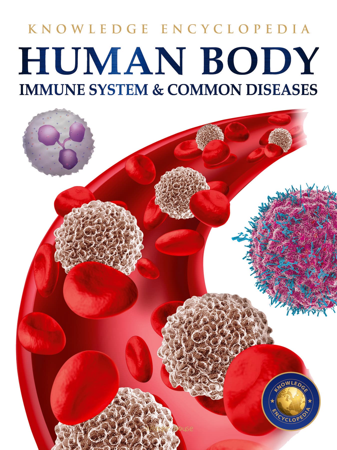 Human Body – Immune System And Common Diseases: Knowledge Encyclopedia For Children