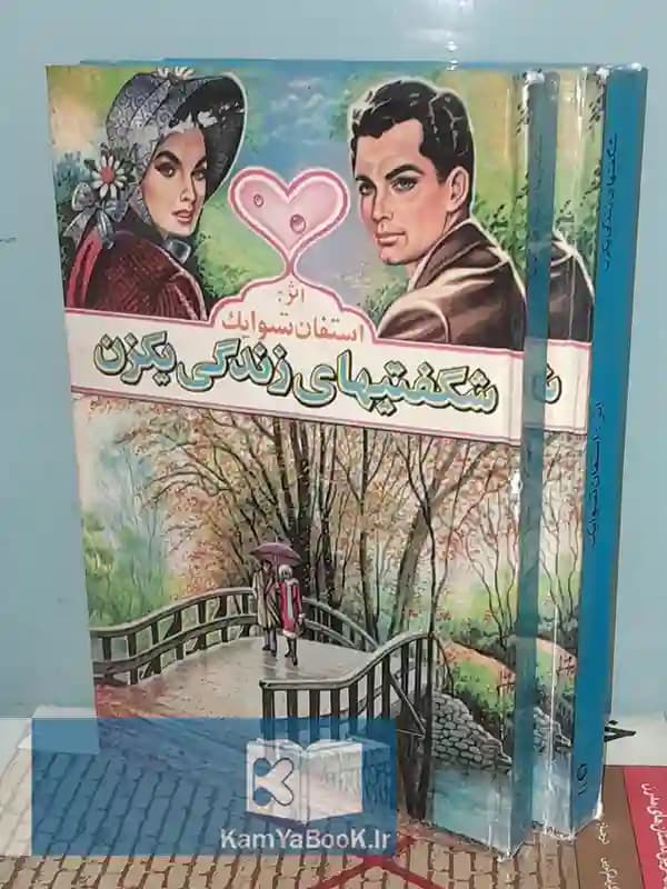 شگفتیهای زندگی یکزن اثر استفان تسوایک