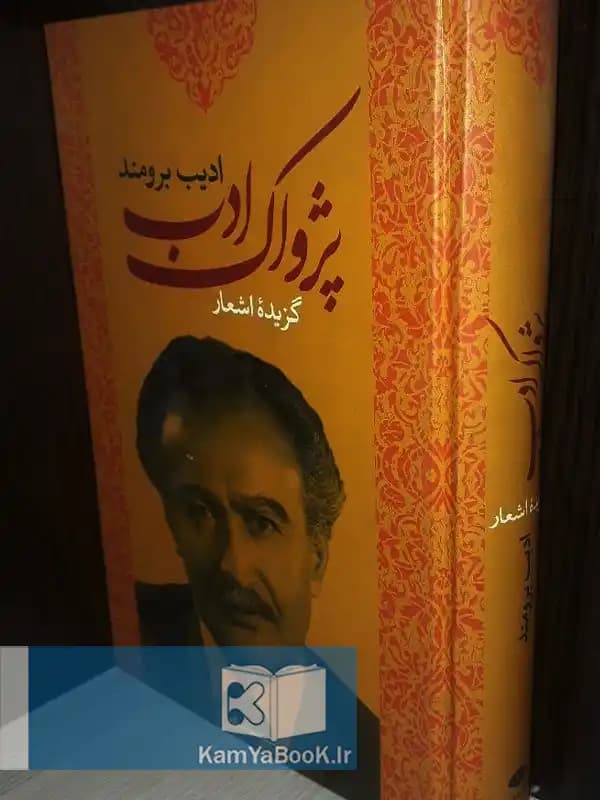 پژواک ادب (گزیده اشعار) اثر ادیب برومند