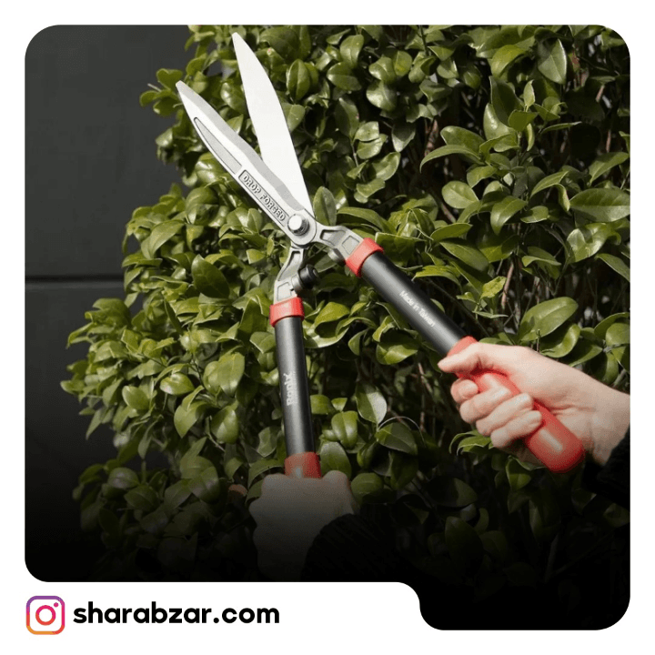 قیچی شمشاد زن 6 سانتیمتری رونیکس کد RH_3110 — تصویر ۳