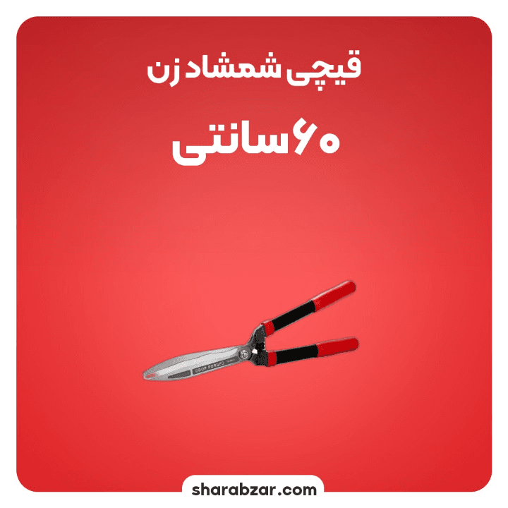 قیچی شمشاد زن 6 سانتیمتری رونیکس کد RH_3110 — تصویر ۲