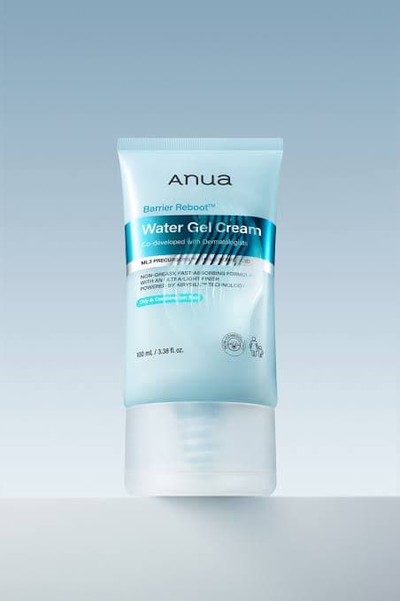 ژل کرم آبرسان و ترمیم کننده سد دفاعی پوست بریر ریبوت آنوا Anua Barrier Reboot Water Gel Cream مناسب پوست چرب و مختلط حجم ۱۰۰ میلی لیتر — تصویر ۴