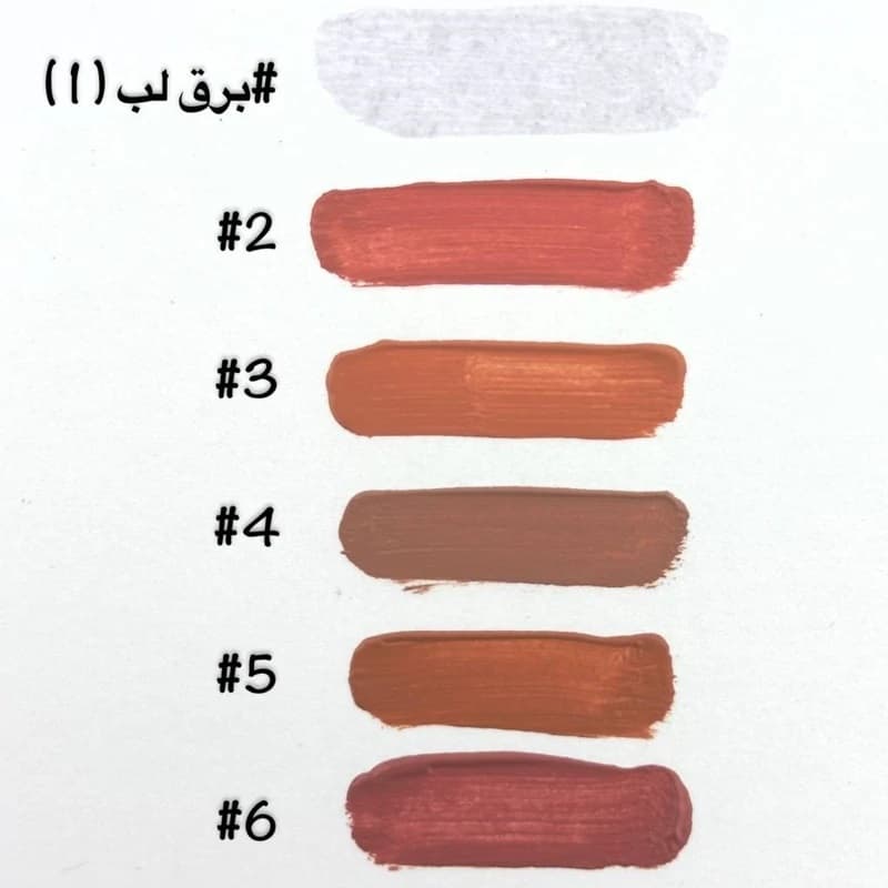 رژ لب مایع دراگون رانی Dragon ranee lipgloss مدل Matte Gloss — تصویر ۳