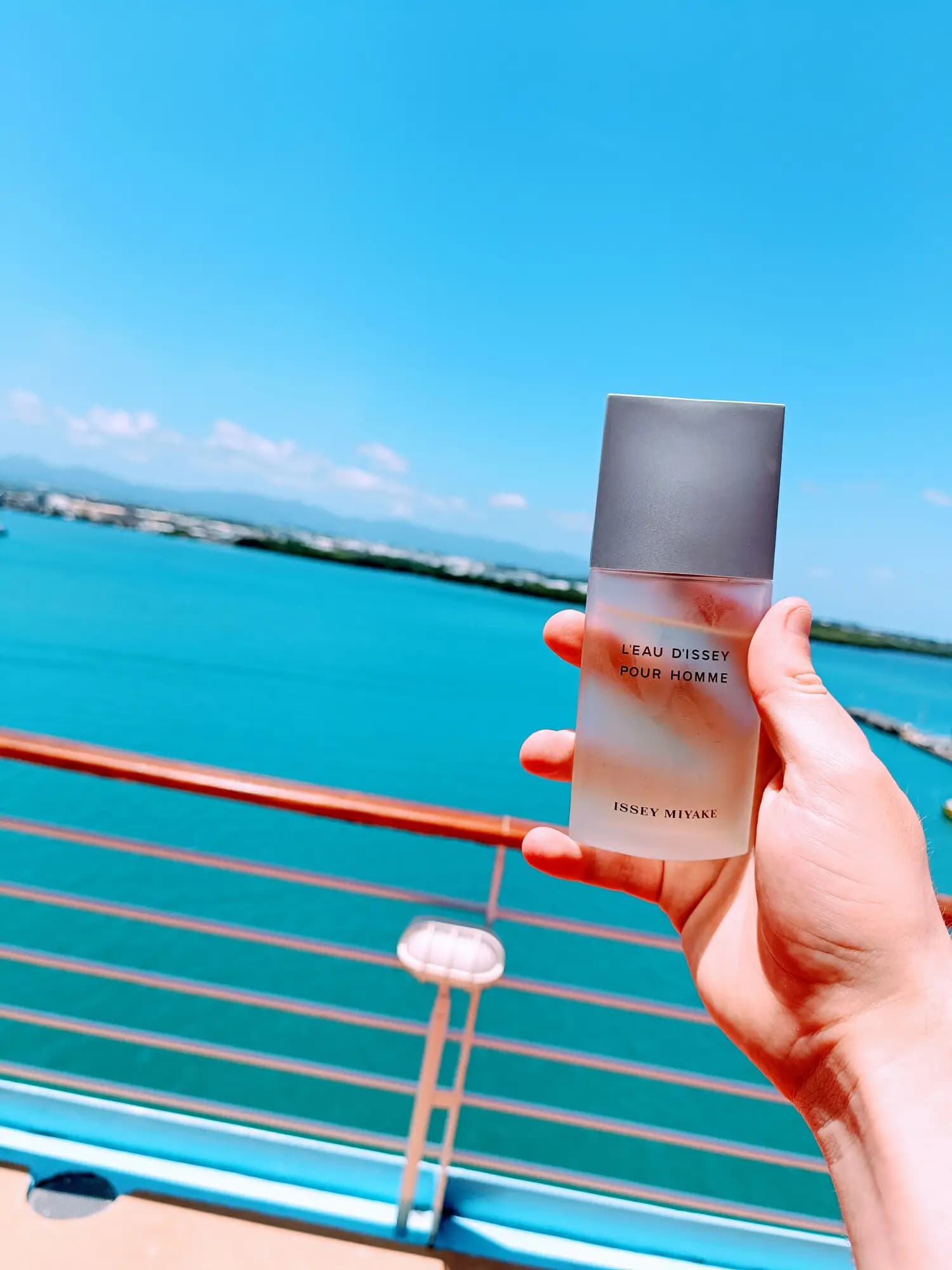 عطر ادکلن ایسی میاکی لئو دیسه پور هوم اصل | Issey Miyake L Eau d Issey Pour Homme — تصویر ۵