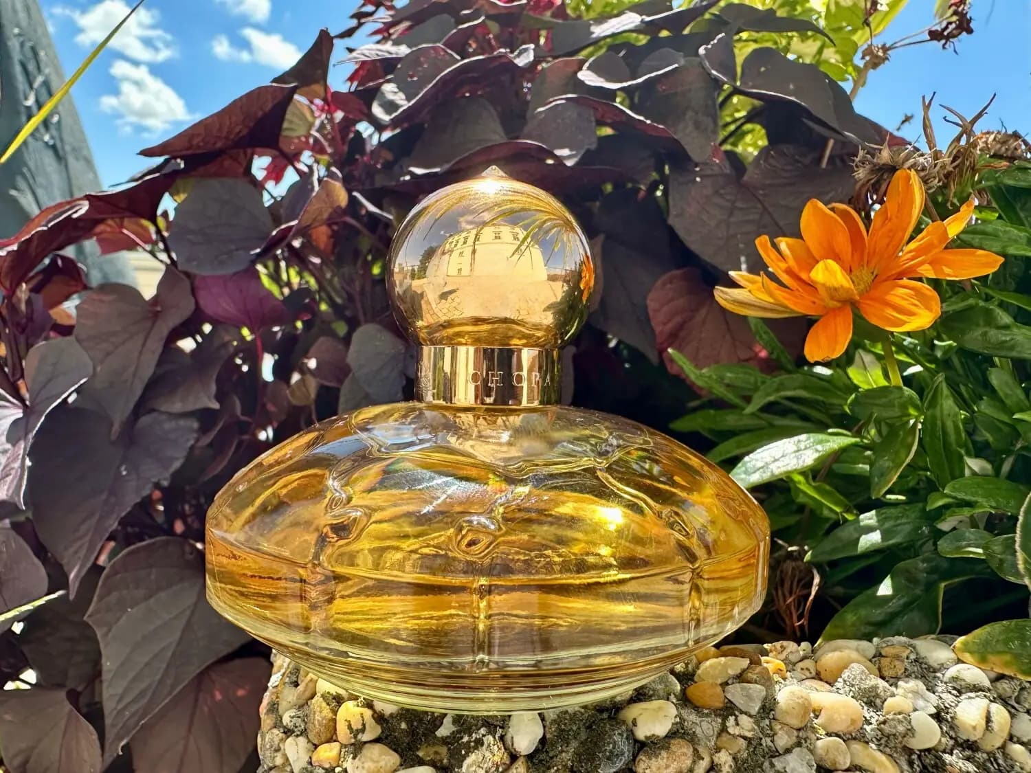 عطر ادکلن چوپارد کاسمیر اصل | Chopard Casmir — تصویر ۳