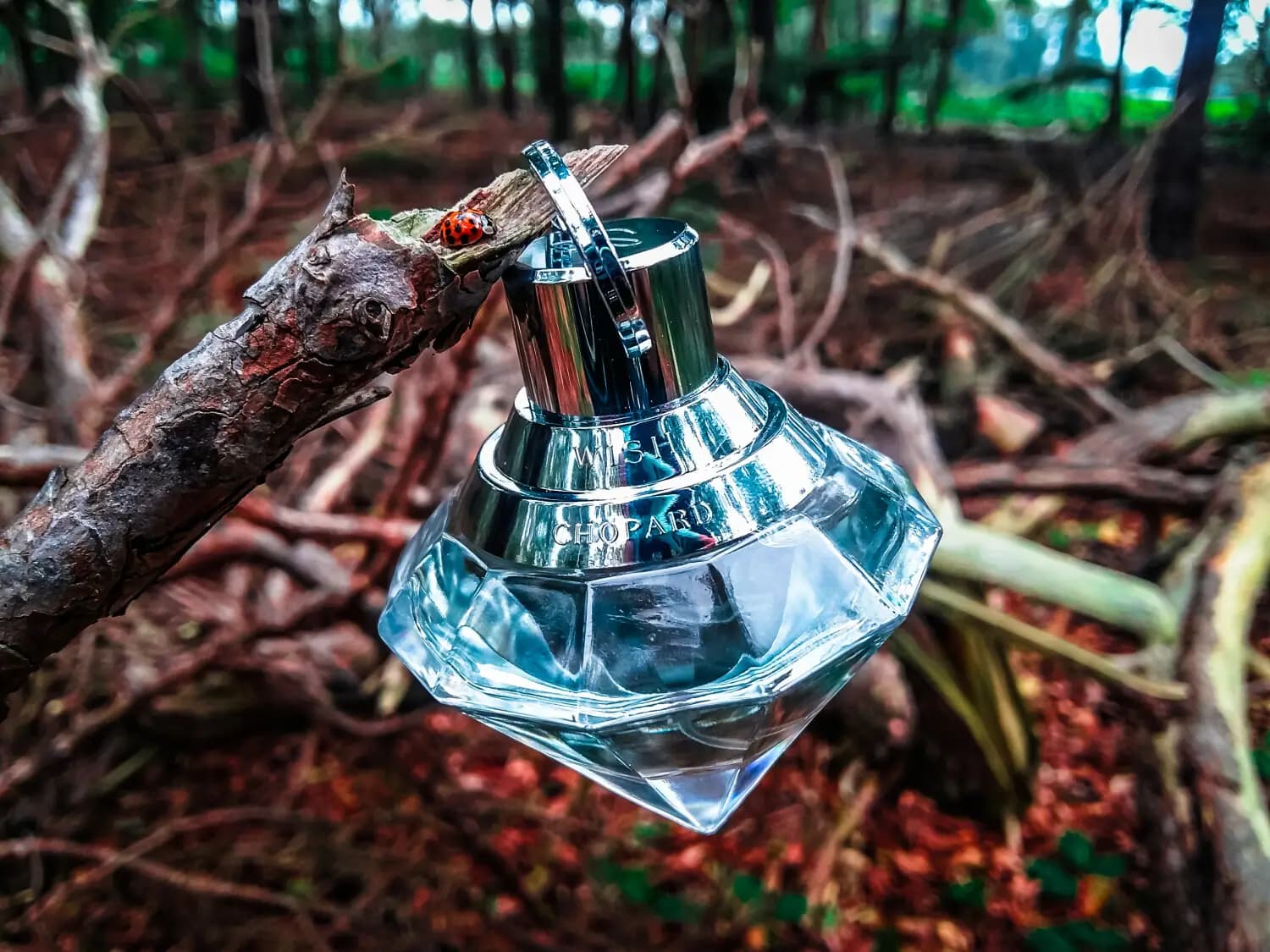 عطر ادکلن چوپارد ویش اصل | Chopard Wish — تصویر ۴