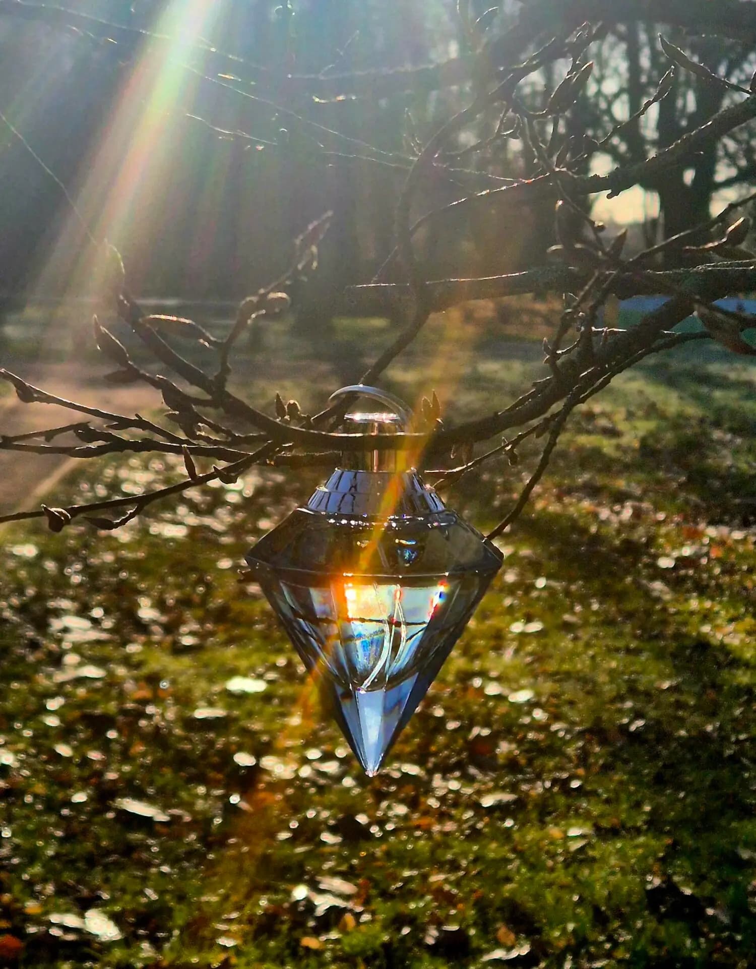 عطر ادکلن چوپارد ویش اصل | Chopard Wish — تصویر ۷