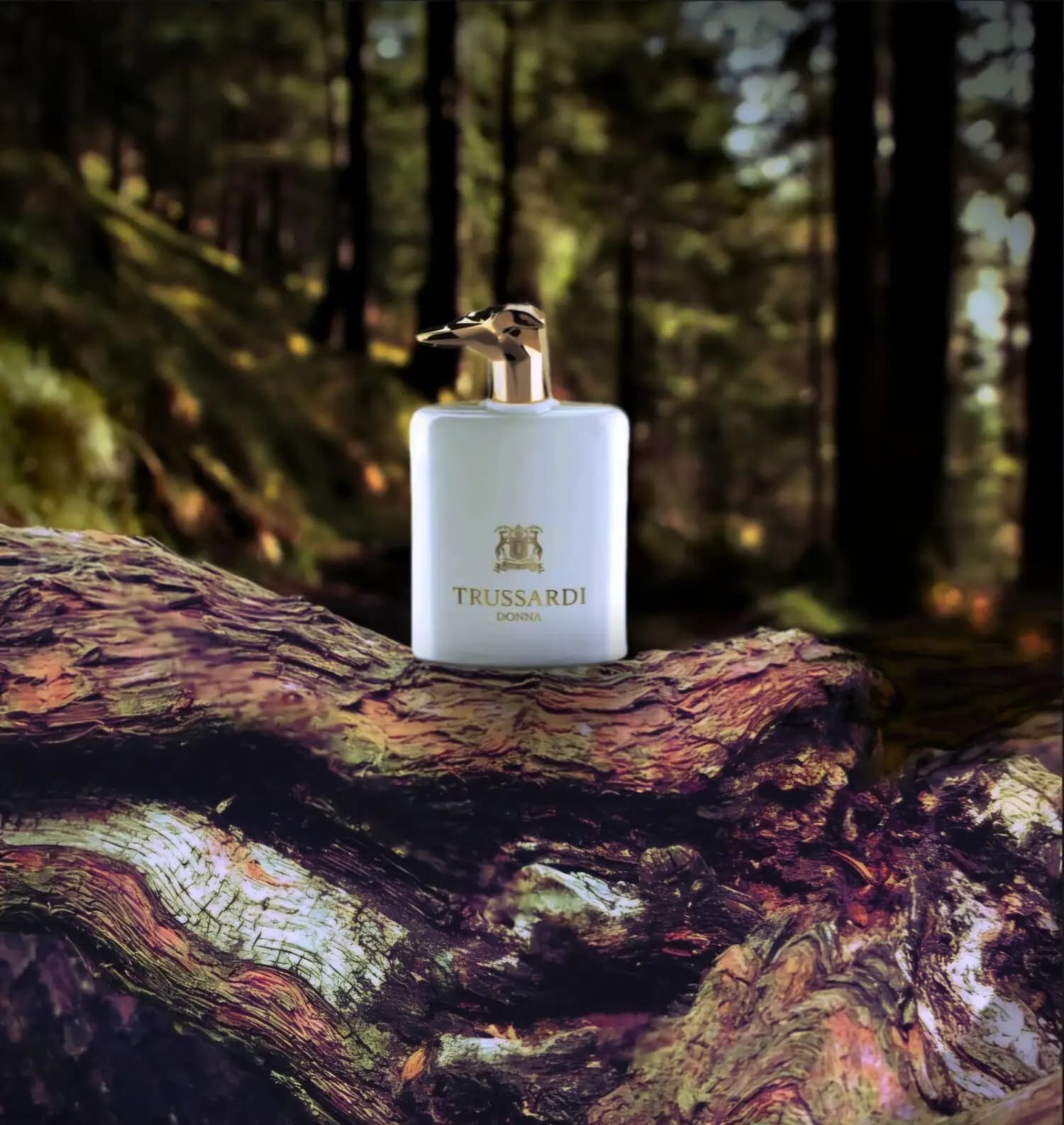 عطر ادکلن تروساردی دونا ادوپرفیوم اینتنس اصل | Trussardi Donna Eau de Parfum Intense — تصویر ۷