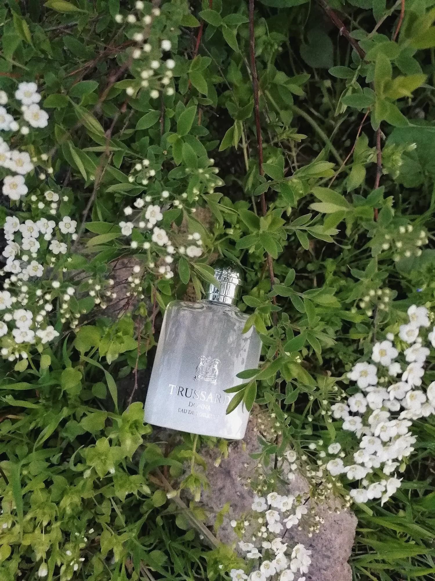 عطر ادکلن تروساردی تروساردی دونا ادوتویلت اصل | Trussardi Donna Eau de Toilette — تصویر ۵