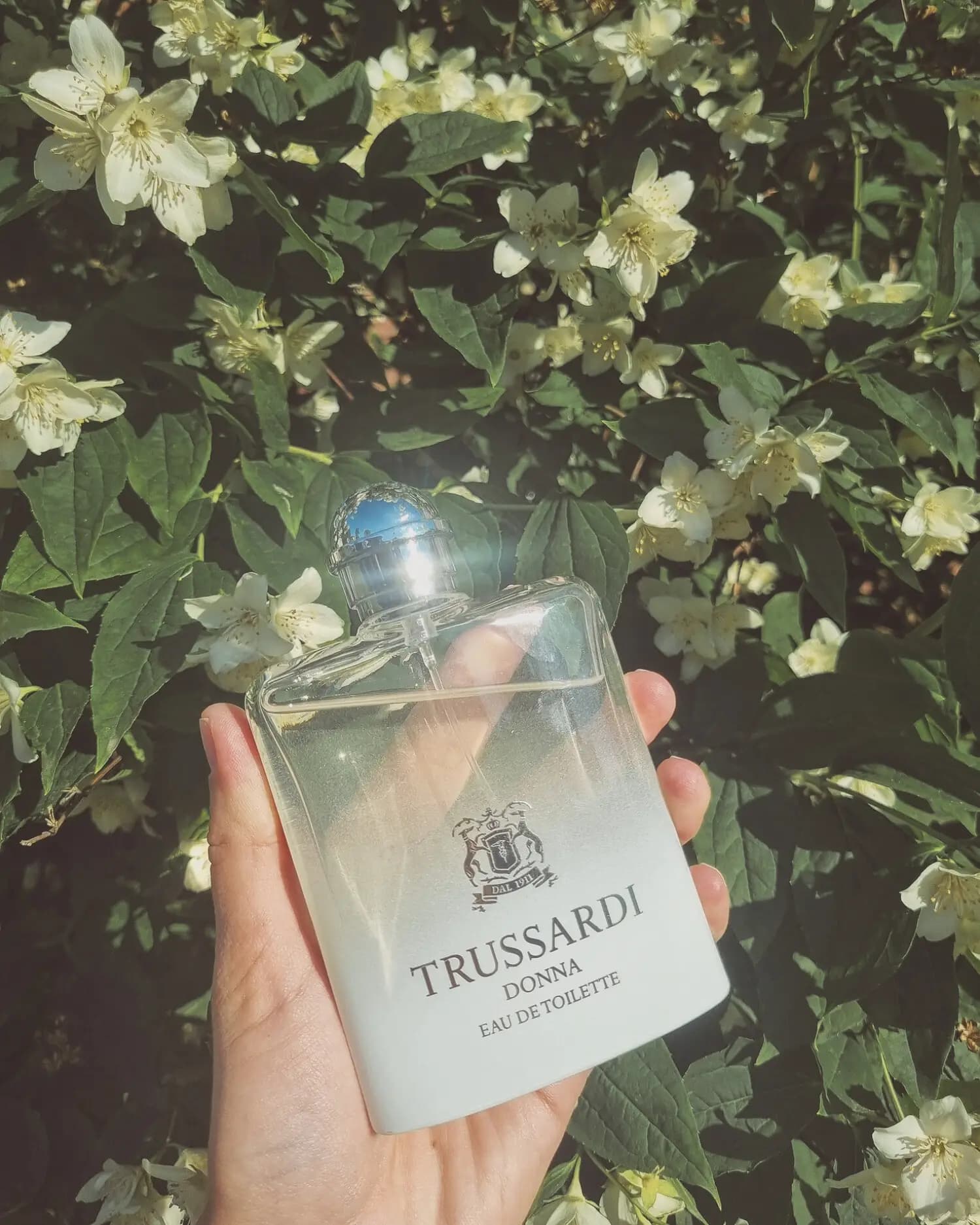عطر ادکلن تروساردی تروساردی دونا ادوتویلت اصل | Trussardi Donna Eau de Toilette — تصویر ۷