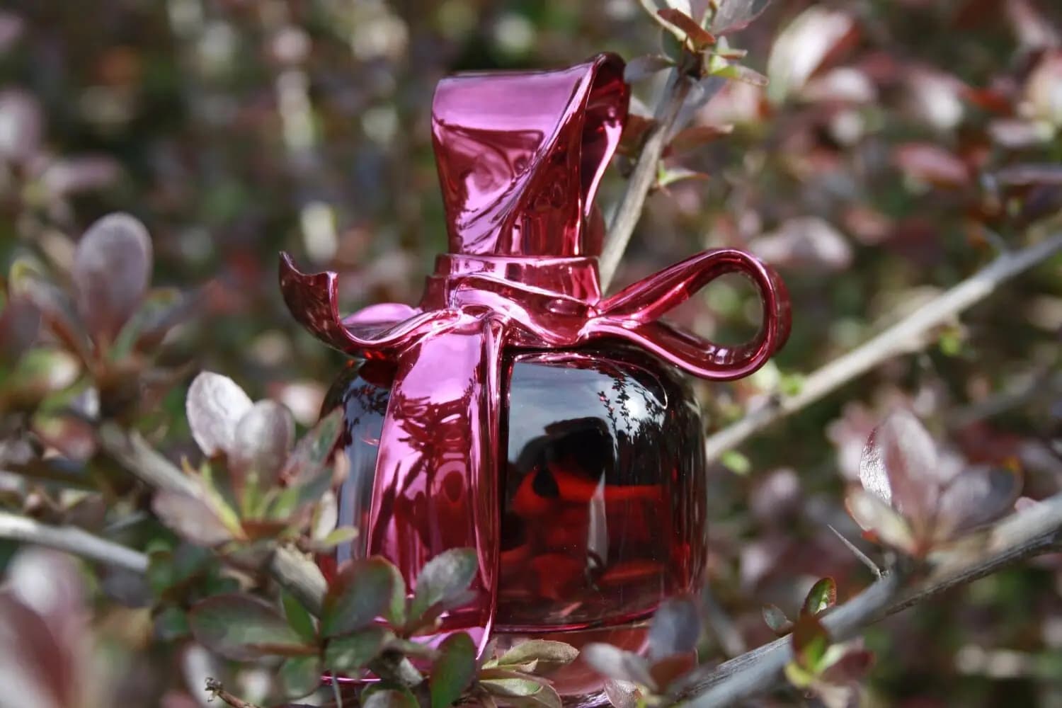 عطر ادکلن نینا ریچی ریچی ریچی ۵۰ میل اصل | Nina Ricci Ricci Ricci — تصویر ۷