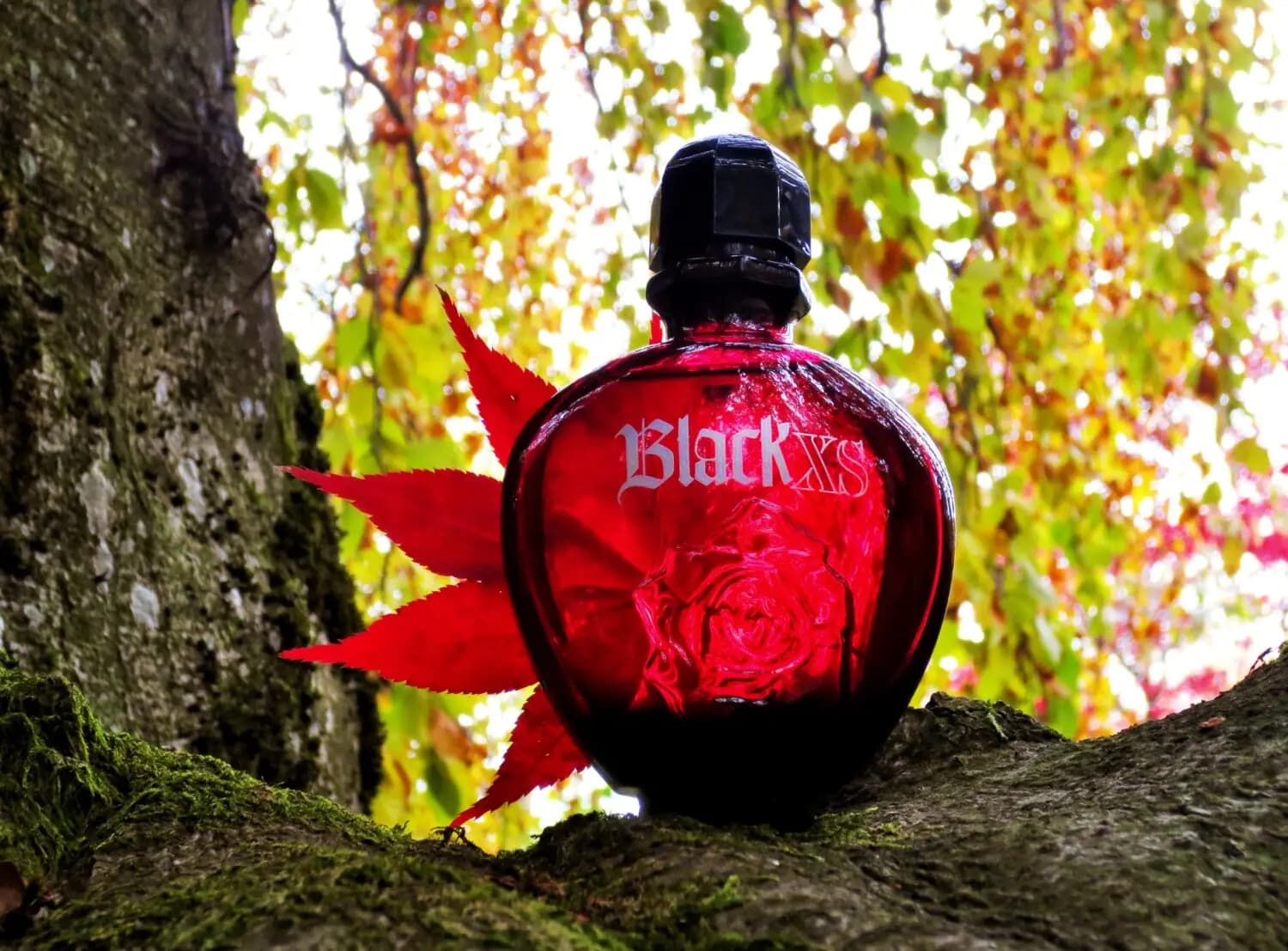 عطر ادکلن پاکو رابان بلک ایکس اس زنانه اصل | Paco Rabanne Black XS for Her — تصویر ۵