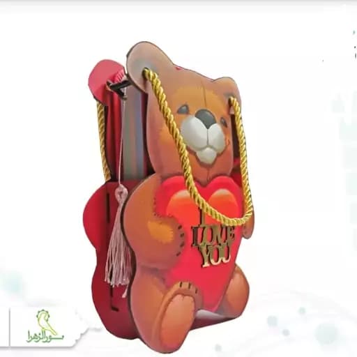 دیوان حافظ پالتویی طرح خرس