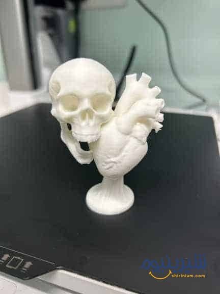 مجسمه دکوراتیو جمجمه با طرح قلب Skull and Heart — تصویر ۲