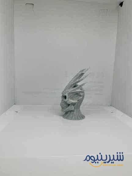 مجسمه جمجمه انسانی مدرن Human Relic Skull art — تصویر ۲