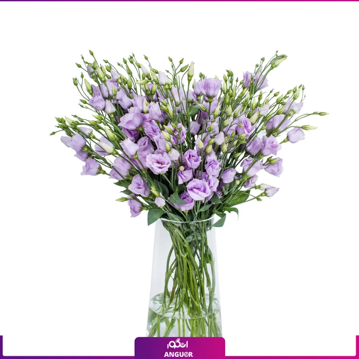 دسته گل لیسیانتوس بنفش روشن رنگ با گلدان شیشه ای