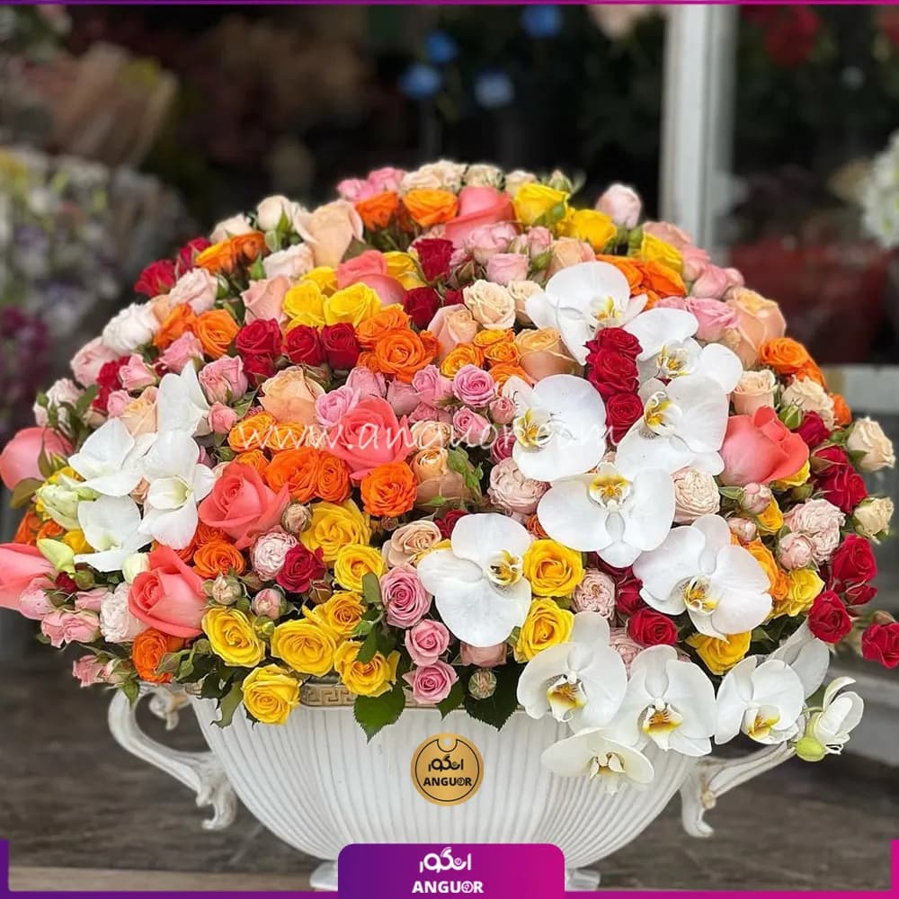 جام بله برون با گل رز — تصویر ۲