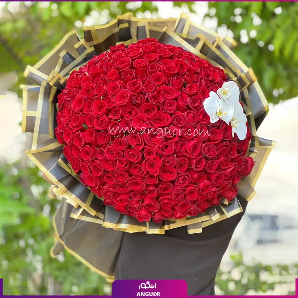دسته گل بزرگ رز قرمز و ارکیده سفید – ۲۰۰ شاخه