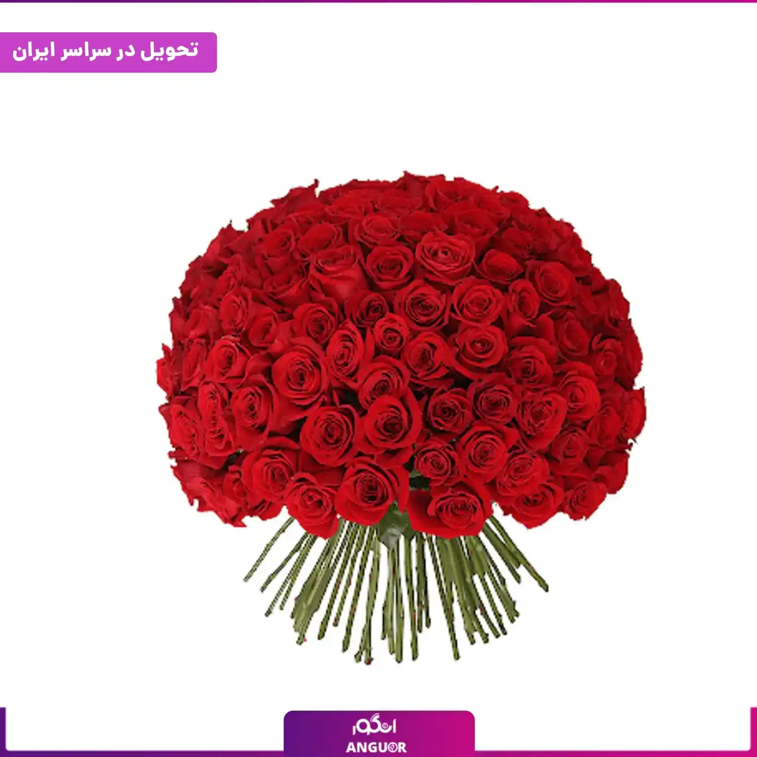 دسته گل 100 شاخه رز قرمز