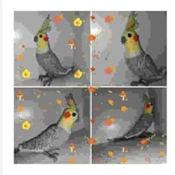 عروسک پرنده اسباب بازی بافتنی مدل فیگور طوطی عروس هلندی گل باقالی — تصویر ۵