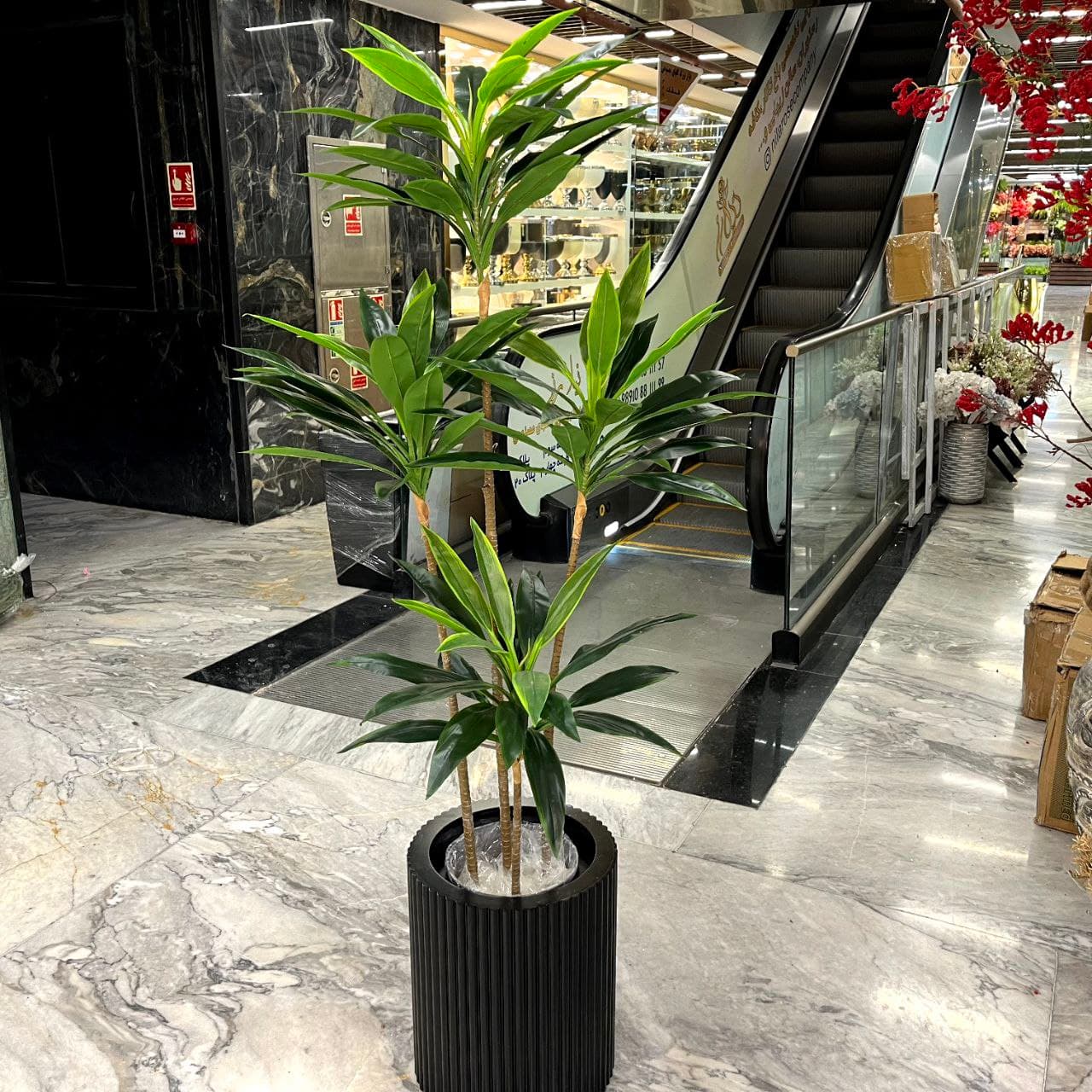 درختچه دراسینا مصنوعی سبز 4 شاخه 150 سانت — تصویر ۶