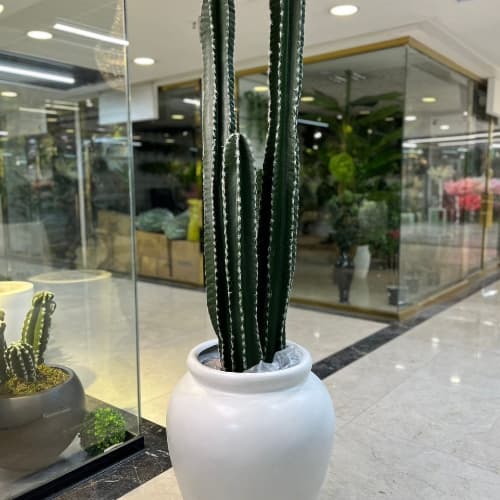 درختچه کاکتوس مصنوعی سایز بزرگ 160 سانت