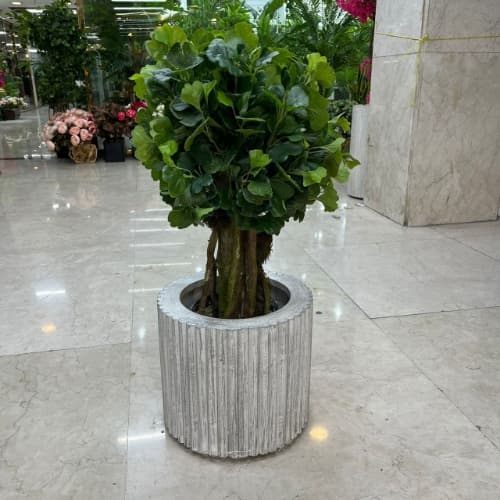 درختچه بنسای مصنوعی بوته پر سیاوش